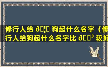 修行人给 🦋 狗起什么名字（修行人给狗起什么名字比 🌳 较好）